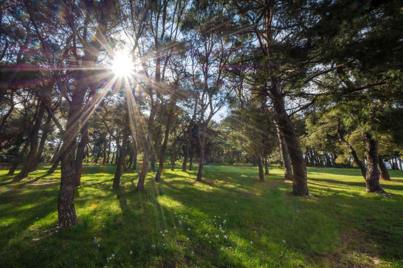 Piccola Pineta Apartman Póla Kültér fotó